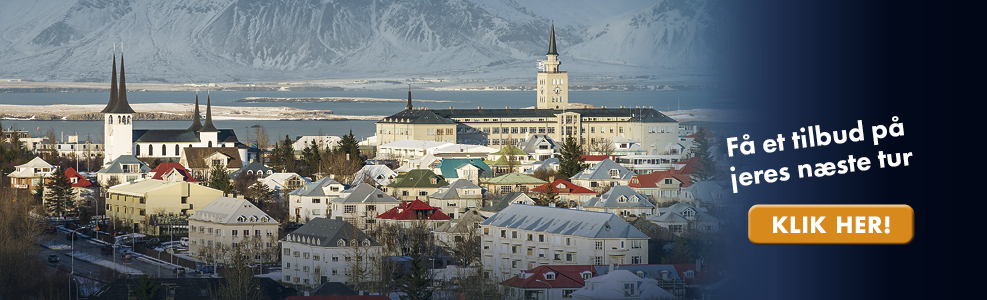 Studierejser til Reykjavik